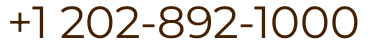 Phone number